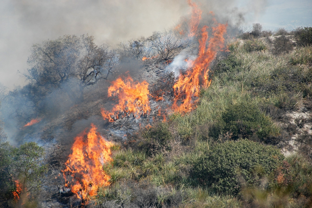 Attivazione fase di preallarme e dichiarazione di stato di grave pericolosità per rischio di incendi boschivi sul territorio Regionale dal 02 Luglio al 28 Agosto
